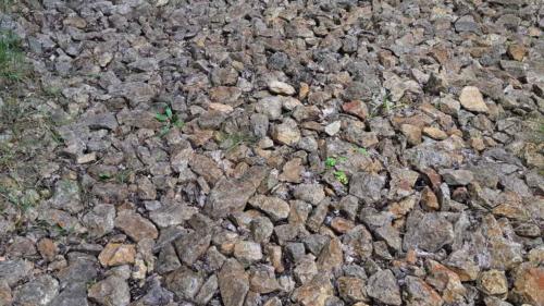 orbit360 gravel series 2021