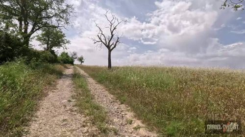 Gravel Cycling near Orvieto Italy