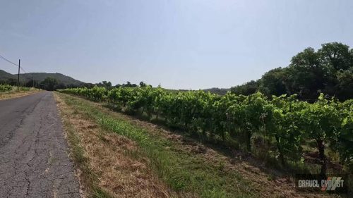 Gravel Cycling near Orvieto Italy