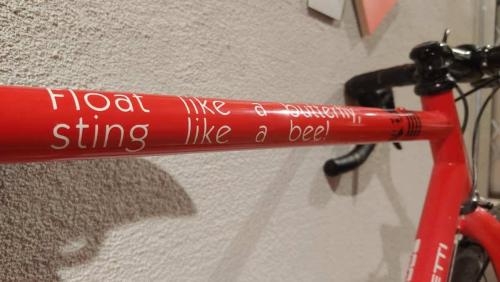 pegoretti duende cyclocross bike review