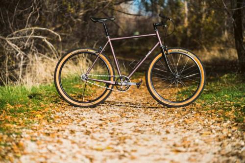 pine cycles rasa bike review
