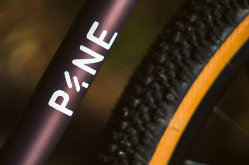 pine cycles rasa bike review
