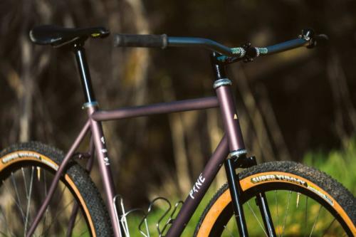 pine cycles rasa bike review