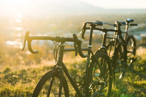 pine cycles rasa bike review