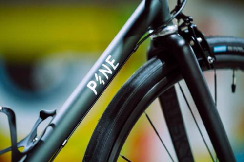 pine cycles rasa bike review