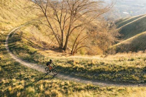 pine cycles rasa bike review