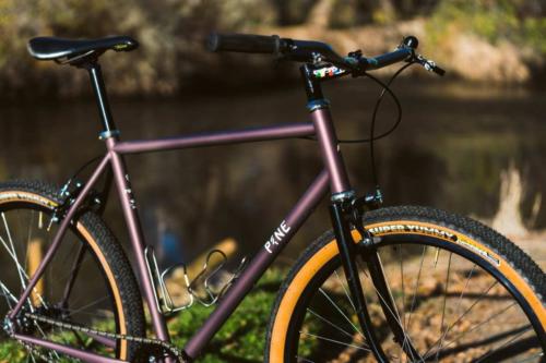pine cycles rasa bike review