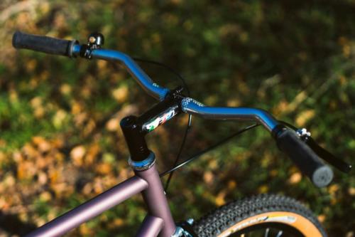 pine cycles rasa bike review
