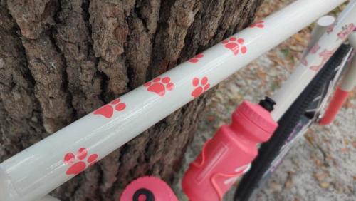 squid bikes so-ez tracklocross review