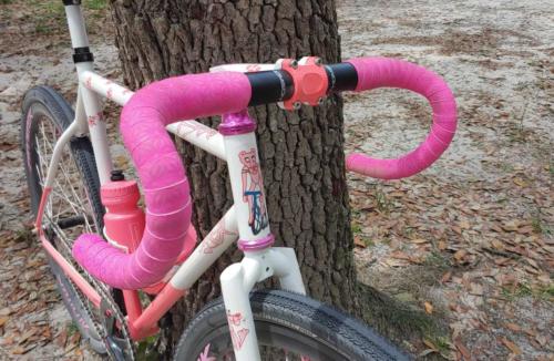 squid bikes so-ez tracklocross review