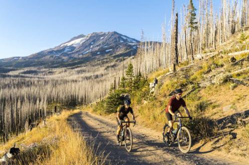 pivot vault new colors for 2020