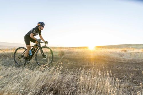 pivot vault new colors for 2020