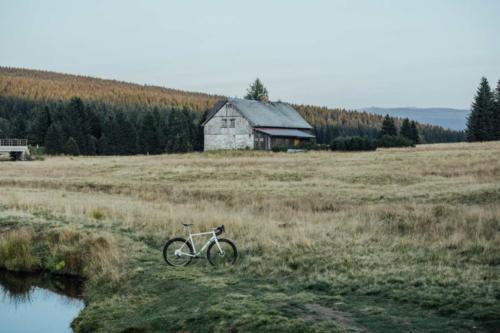 repete verne steel gravel bike with campagnolo ekar