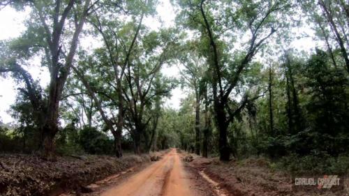 gravel cycling in georgia