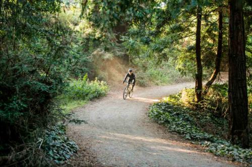 Ritte Satyr Steel Gravel Bike