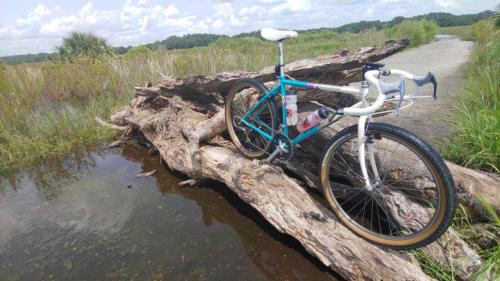 specialized rock combo rebuild