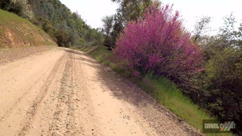 mariposa county gravel cycling