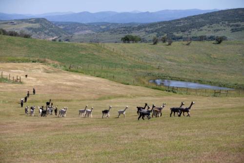 2019 sbt grvl photo gallery