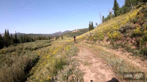 2021 sbt grvl race video