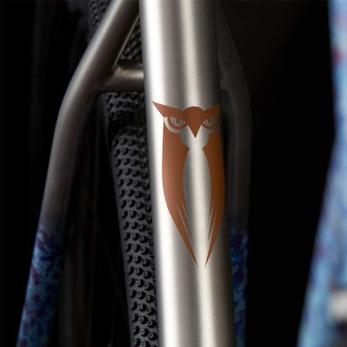 Sage Titanium Storm King Gravel Bike Raffle