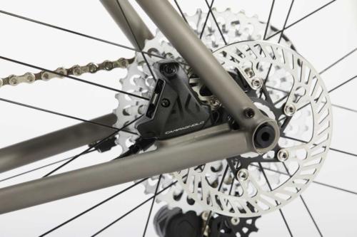 sage storm king with campagnolo ekar