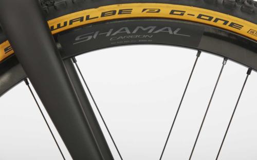 sage storm king with campagnolo ekar