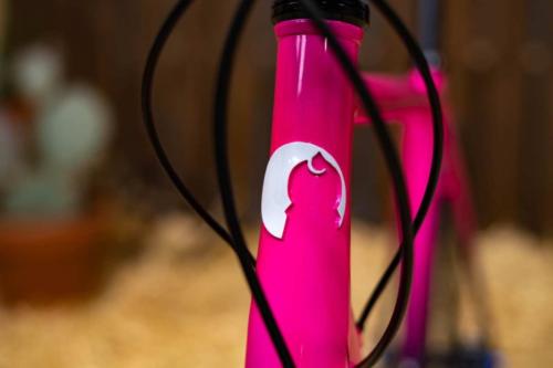 enve builder round-up show 2020 saltair cycles