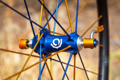 sierra trail chasers surly straggler