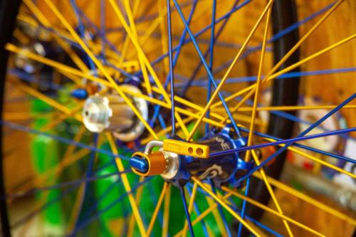 sierra trail chasers surly straggler