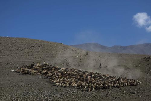 2018 silk road mountain race