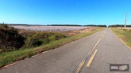 Back Roads  Small Towns of South Georgia