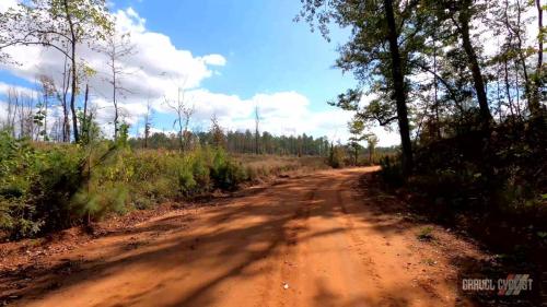 Back Roads  Small Towns of South Georgia