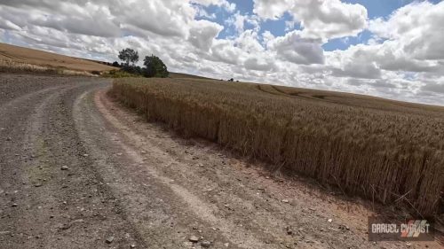 south australia gravel cycling