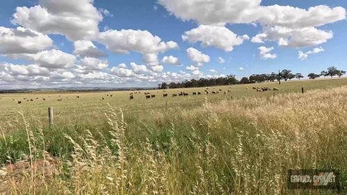 south australia gravel cycling