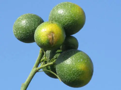 gravel cycling in spain