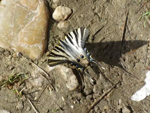 gravel cycling in spain