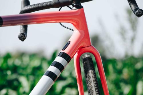 specialized crux pro review 2021
