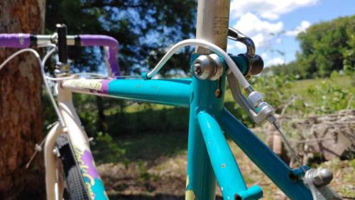 specialized rock combo