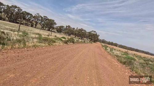stone walls of springton south australia