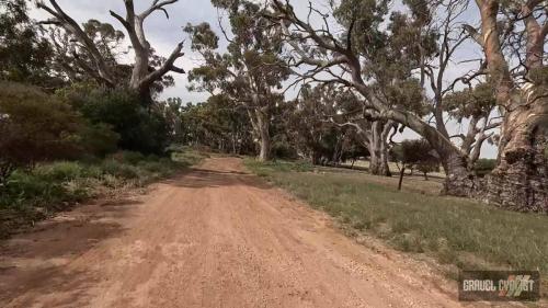 stone walls of springton south australia