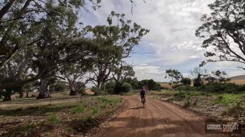 stone walls of springton south australia