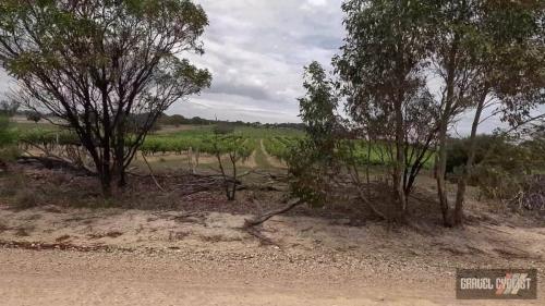 stone walls of sedan south australia