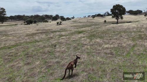 stone walls of sedan south australia