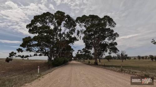 stone walls of sedan south australia