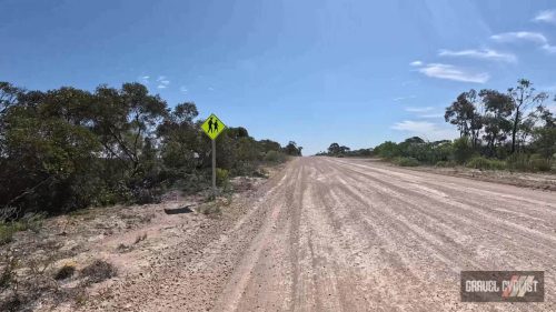 tailem bend gravel cycling