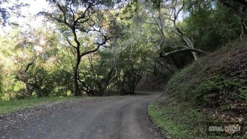 mixed surface ride on the enve fray