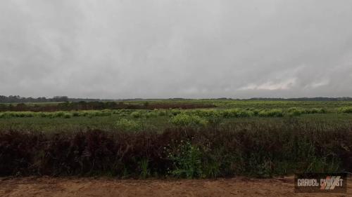 thomasville clay road classic