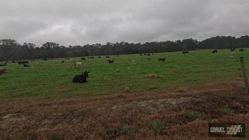 thomasville clay road classic