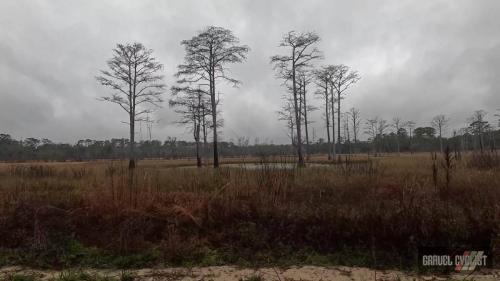 thomasville clay road classic