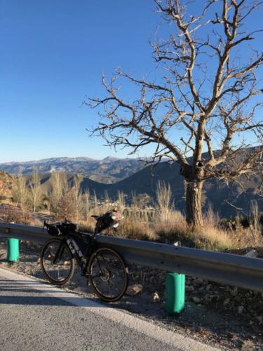 2020 transcontinental race